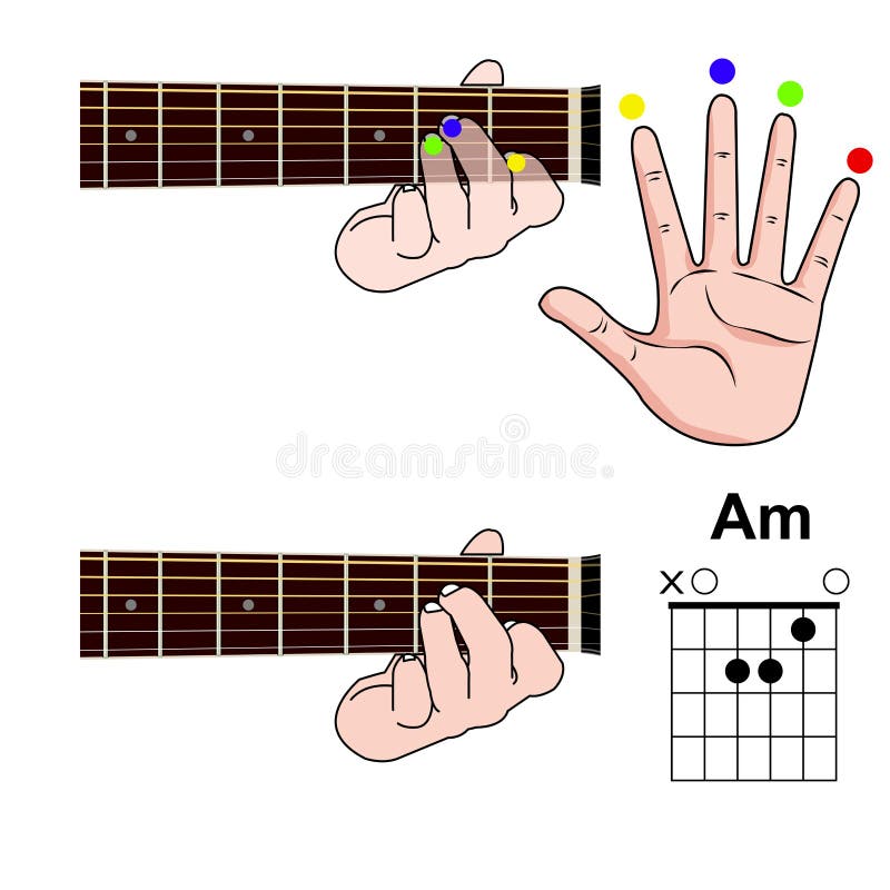 Guitar Chord Basic and Hand Position for Guitar Chord Vector. Freestyle