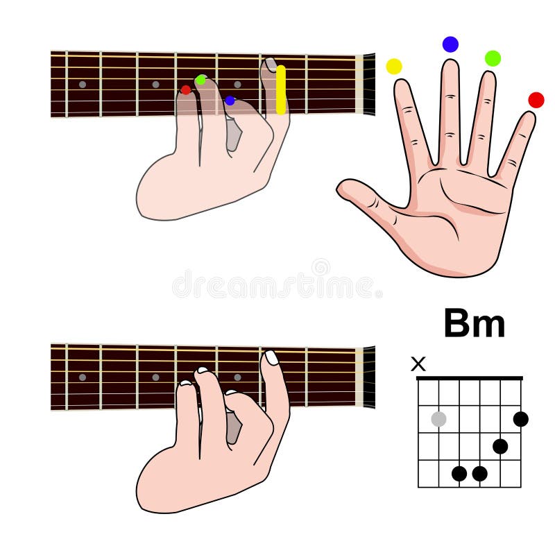 Guitar Chord Basic and Hand Position for Guitar Chord vector. Freestyle Chord.