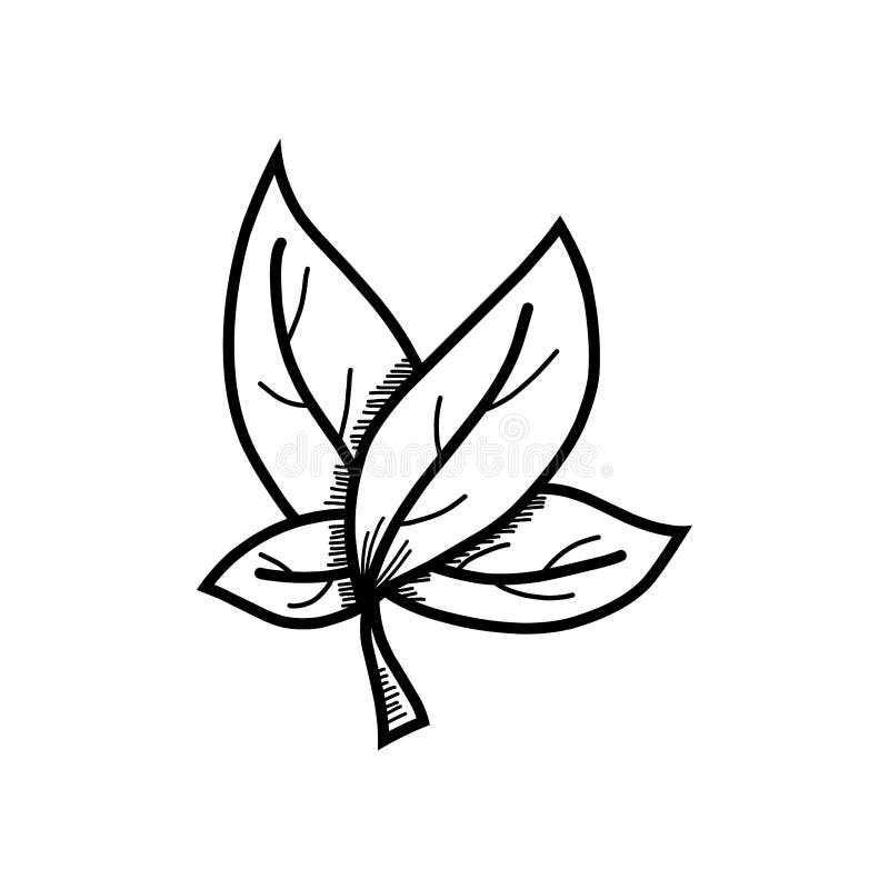 doodle-leaf-stock-vector-illustration-of-logo-doodle-259676039