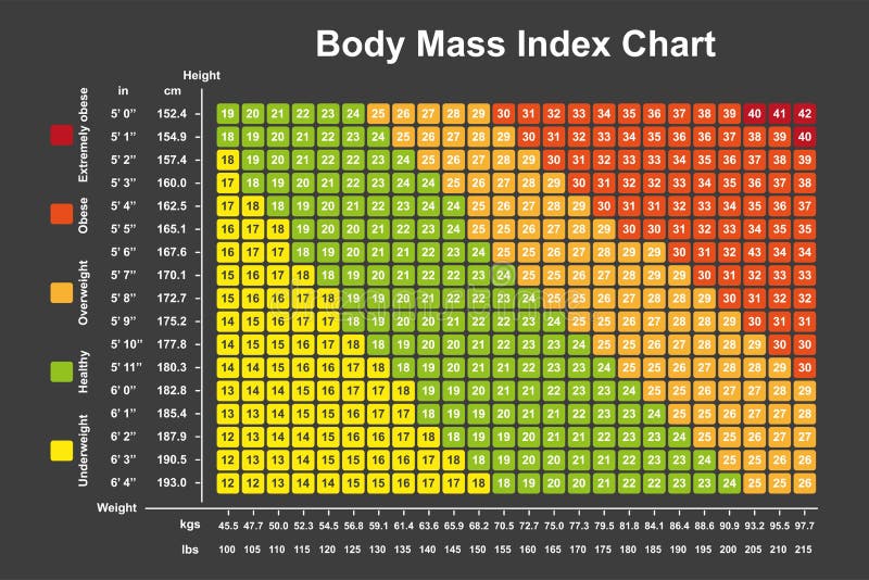 Body Mass Index Chart Stock Illustrations – 502 Body Mass Index