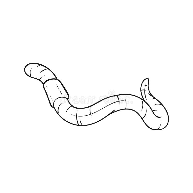 Earthworm Drawing Easy  Easy drawings, Elementary drawing