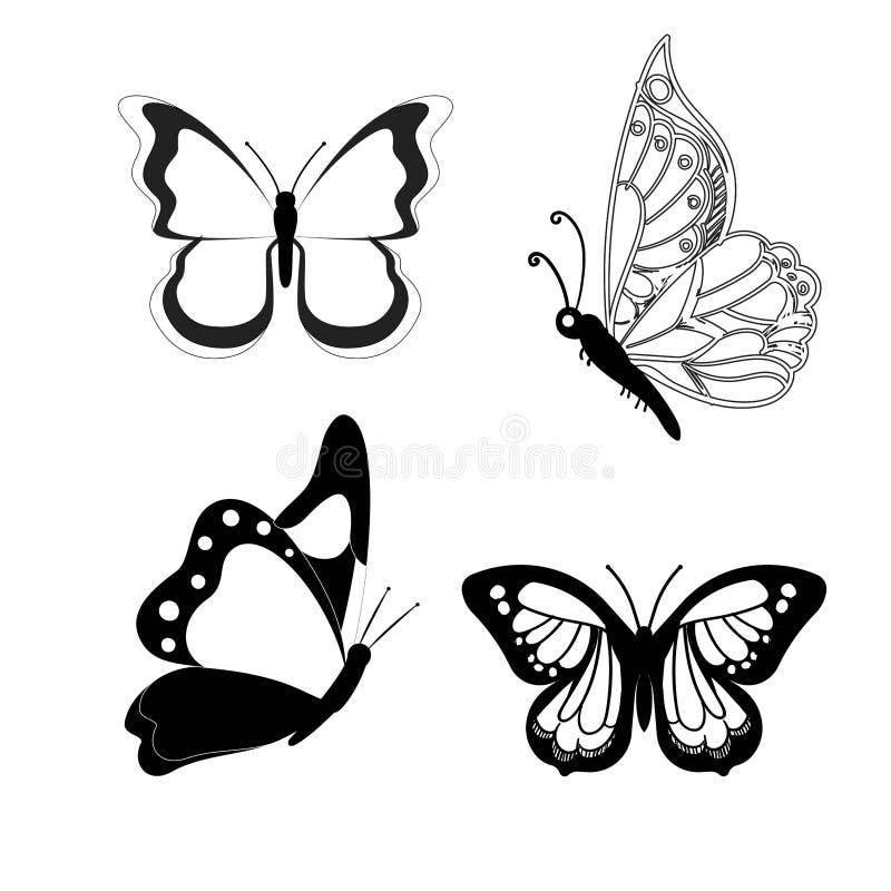 Butterfly Set Graphic Black White Isolated Sketch Illustration Vector
