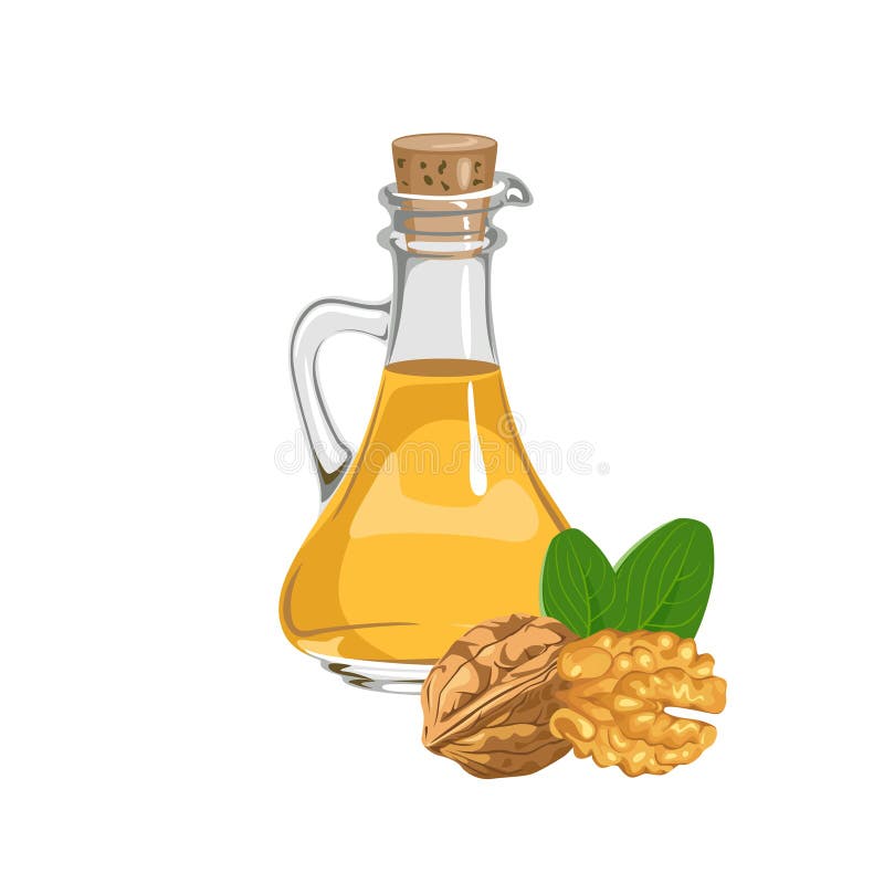 Walnut Oil in Glass Bottle Isolated on White Stock Vector
