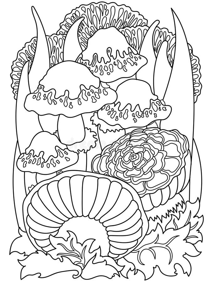 Mushroom Coloring Stock Illustrations – 4,110 Mushroom Coloring Stock ...