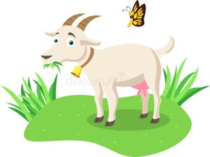 Cutegoat Stock Illustrations 3 Cutegoat Stock Illustrations Vectors Cutegoat Stock Illustrations 3 Cutegoat Stock Illustrations Vectors