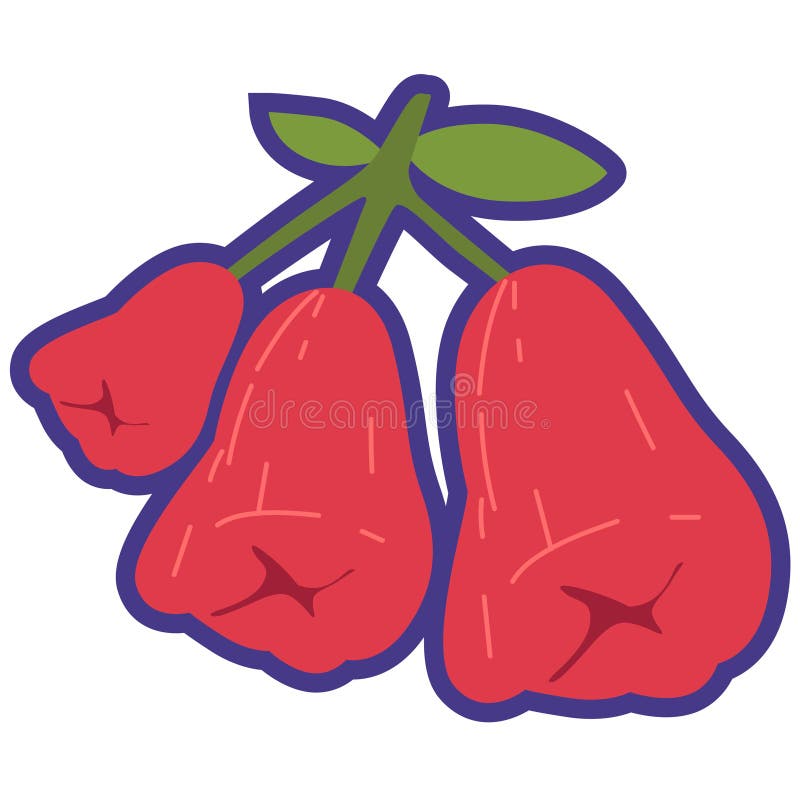Imagine cartografică cu Apple Red Apple sau Rose Apple Apple Apple Image Java Apple Flat Illustration Buah jambu gelas Merah izola royalty free illustration