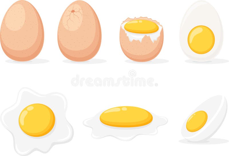 Cartoon egg, fried, boiled, half, sliced eggs, isolated on white background vector illustration