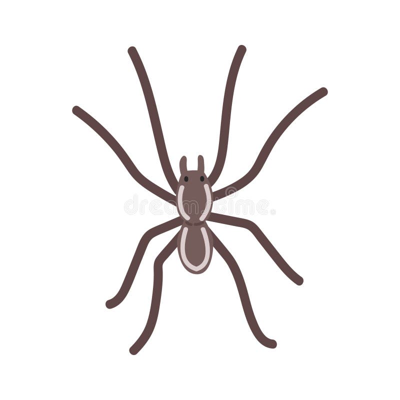 Raft spider cartoon clipart. Cute water spider, great raft spider or fen raft spider vector illustration. Animal in flat style stock illustration