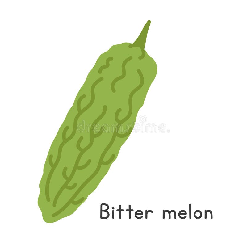 Bitter Melon Cartoon Stock Illustrations – 406 Bitter Melon
