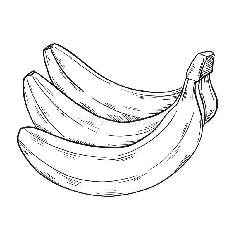 A Bunch of Banana in Clip Art Style in Isolate on a White Backgroun ...