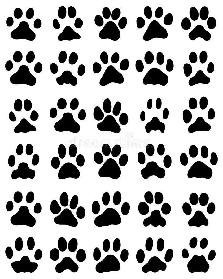 house cat paw print house cat paw print