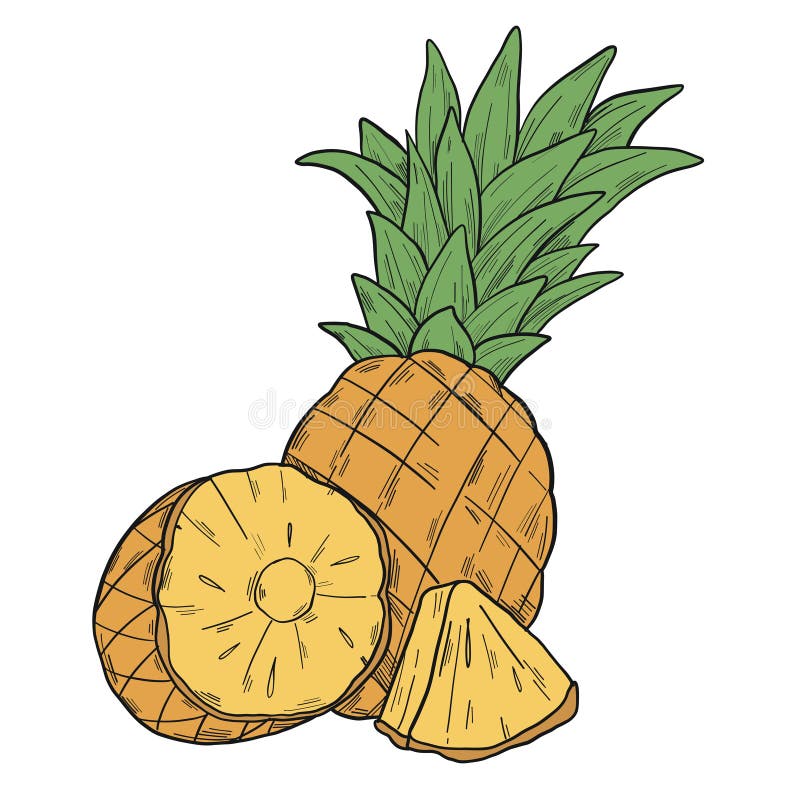Graphic Illustration with a Pineapple Cut in Half and with a Cut Piece
