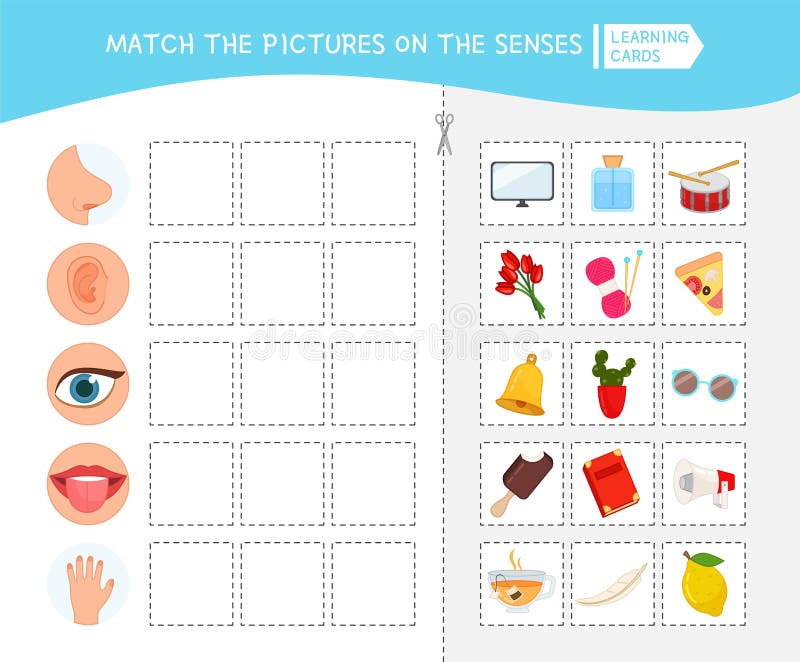 Matching children educational game. Activity for pre sÑhool years kids and toddlers. Match of senses and objects. Matching children educational game. Activity for pre sÑhool years kids and toddlers. Match of senses and objects