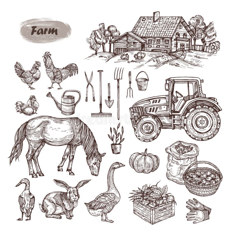 Vector Hand Drawn Set - Rural Landscape, Farm Animals, Tools Stock