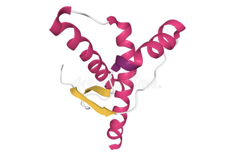 Human prion protein (hPRP) stock illustration. Illustration of amino