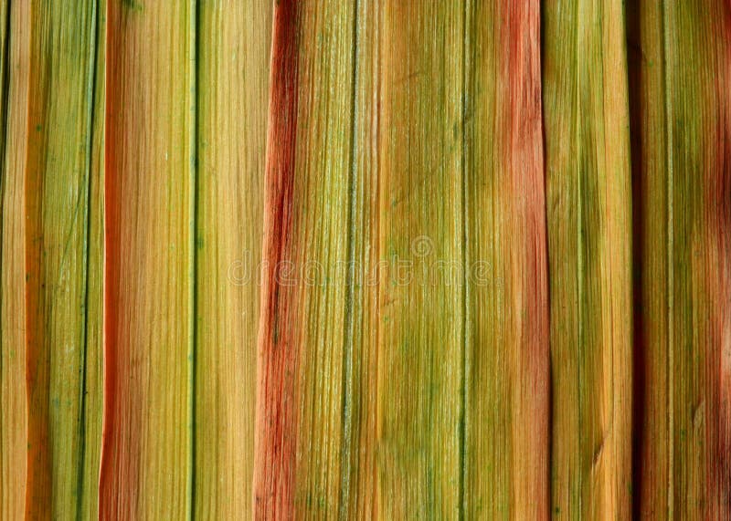 Priorità bassa da erba fotografia stock libera da diritti Priorità bassa da erba fotografia stock libera da diritti