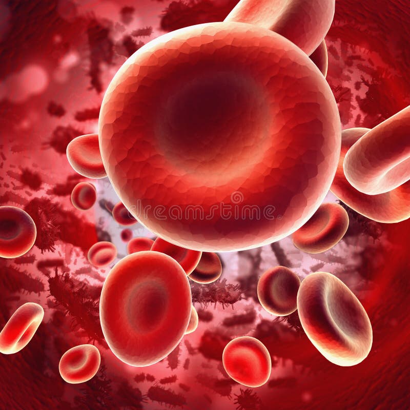 Blood cells flowing through veins. human circulatory system search concept. Blood cells flowing through veins. human circulatory system search concept