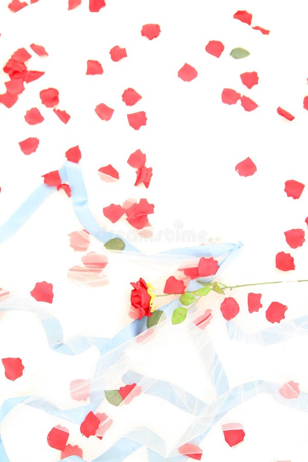 Priorità bassa della Rosa immagine stock Priorità bassa della Rosa immagine stock