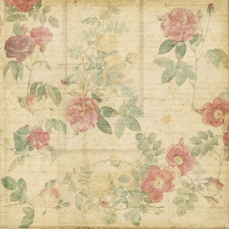 Priorità bassa elegante misera delle rose botaniche dell'annata illustrazione vettoriale Priorità bassa elegante misera delle rose botaniche dell'annata illustrazione vettoriale