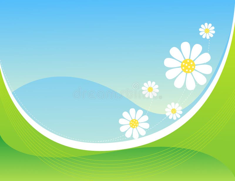 Cute white daisies on light blue and green background [spring flowers] floral background for greeting cards and other artworks. Cute white daisies on light blue and green background [spring flowers] floral background for greeting cards and other artworks