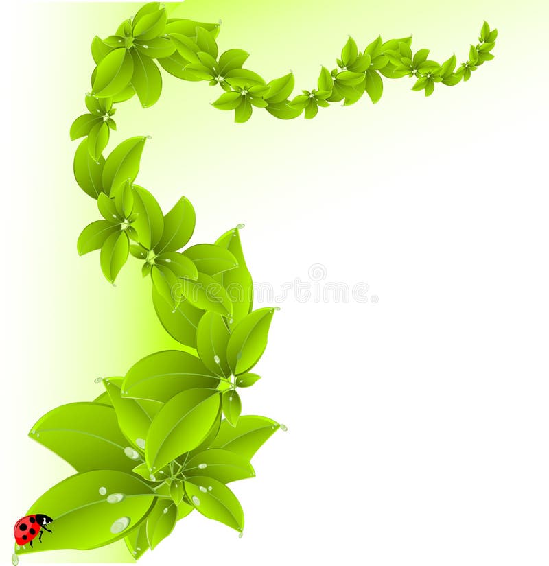 Priorità bassa verde illustrazione vettoriale Priorità bassa verde illustrazione vettoriale
