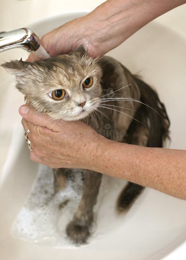 Prise d'un bain Prise d'un bain
