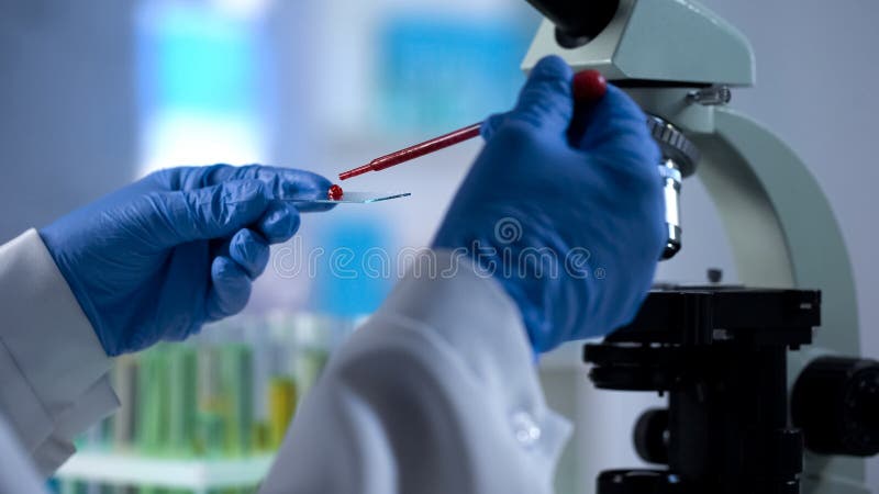 Prise de sang d'égoutture de scientifique pour l'examen de la génétique, essai de microbiologie photos libres de droits Prise de sang d'égoutture de scientifique pour l'examen de la génétique, essai de microbiologie photos libres de droits