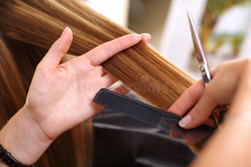 Prise femelle de coiffeur à disposition entre la serrure de doigts des cheveux photo libre de droits Prise femelle de coiffeur à disposition entre la serrure de doigts des cheveux photo libre de droits