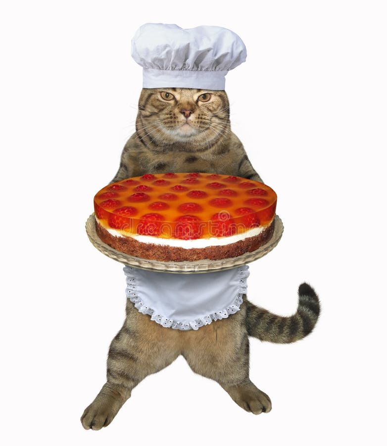 Prises de chef de chat un gâteau de fruit photos libres de droits Prises de chef de chat un gâteau de fruit photos libres de droits