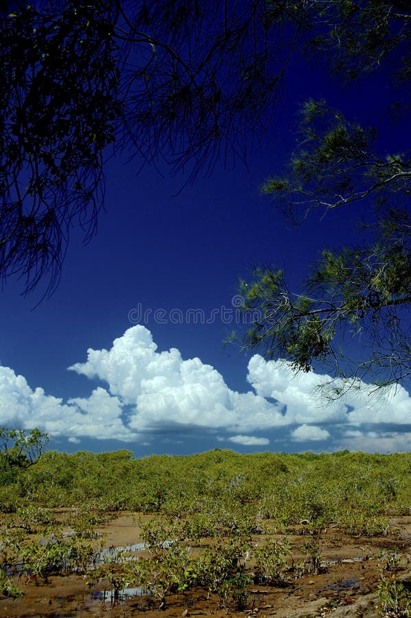 Download Pristine Coastline 9 stock photo. Image of stainless, shoreline - 100130