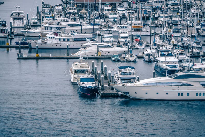 privata fartyg och yachter förtöjas i hamnen på Elliott Bay arkivbild privata fartyg och yachter förtöjas i hamnen på Elliott Bay arkivbild