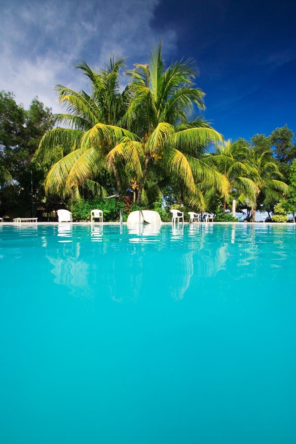 Pleasant private resort hotel pool with turquoise colored water with green palm trees beside and tables and chairs for relaxing. Room for text. Pleasant private resort hotel pool with turquoise colored water with green palm trees beside and tables and chairs for relaxing. Room for text.