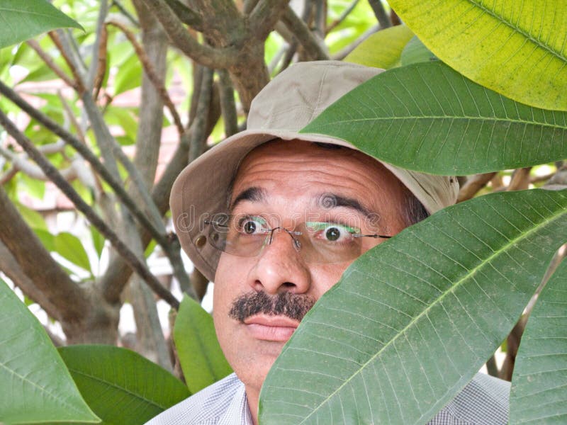 Privédetective royalty-vrije stock fotografie