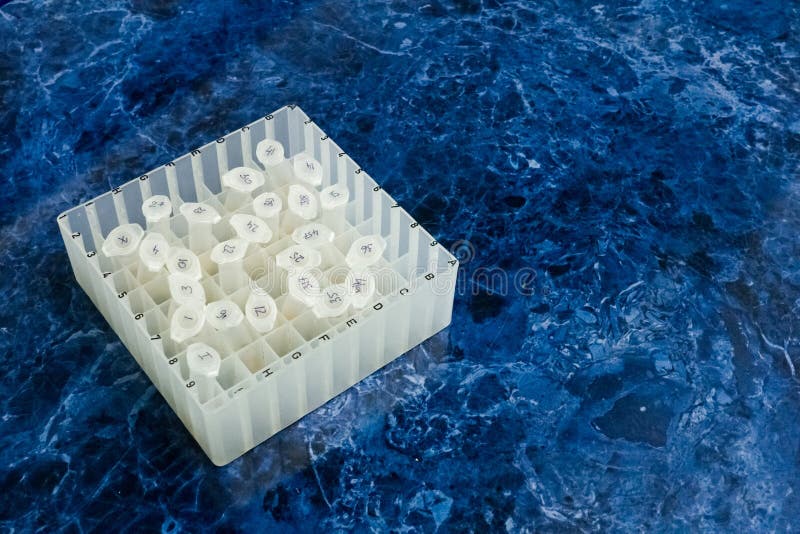 Proben für Studie Kasten für eppendorf auf dem Desktop lizenzfreies stockfoto Proben für Studie Kasten für eppendorf auf dem Desktop lizenzfreies stockfoto