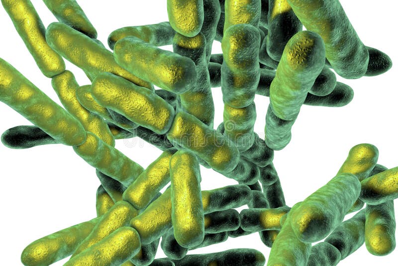 Probiotic bakterie Bifidobacterium royalty ilustracja Probiotic bakterie Bifidobacterium royalty ilustracja