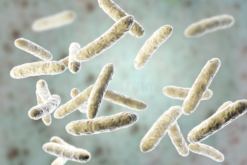 Probiotic Bakterien, normale intestinale Mikroflora stock abbildung Probiotic Bakterien, normale intestinale Mikroflora stock abbildung