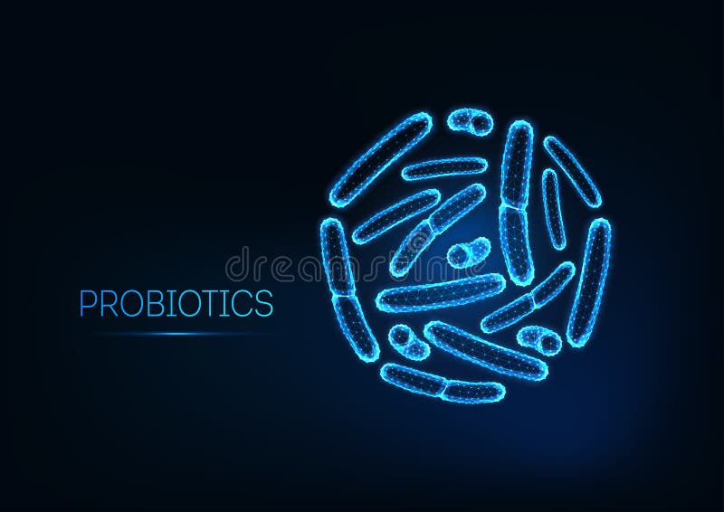 Probiotics under microscope. Gram positive bacteria, bacilli. Normal gut flora, bifidobacterium.