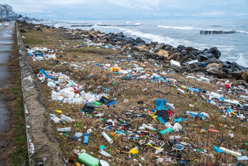 Dirty Coastline Of Cyprus Island, Pollution Washing On The Shores