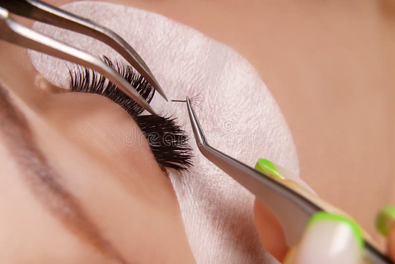 Procedura di estensione per ciglio. occhio di donna con le palpebre lunghe. focalizzazione su attività selettiva. fotografie stock libere da diritti