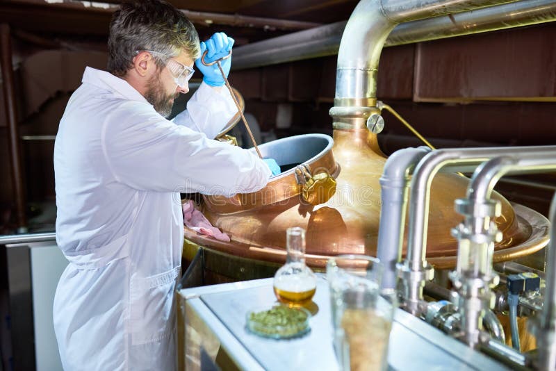 Process of Beer Fermentation royalty free stock images