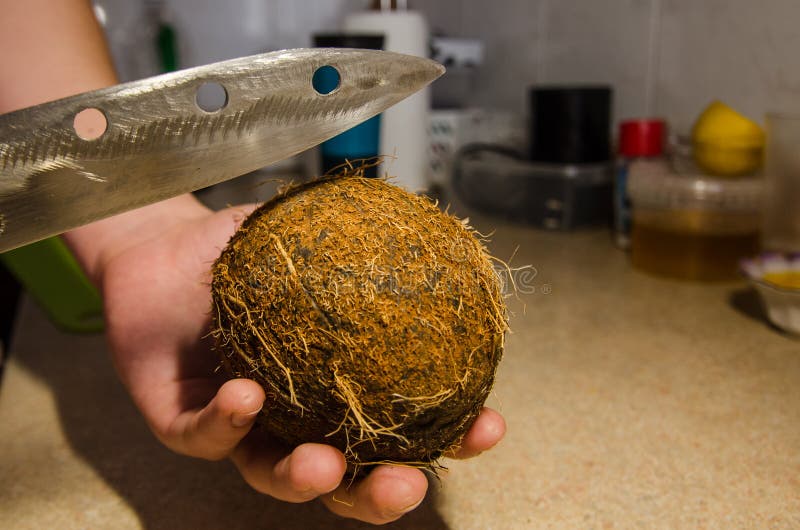 The Process of Cutting the Coconut Stock Photo Image of food, sweet