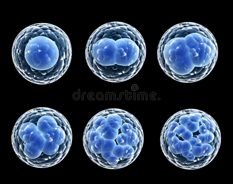 Process division of cell stock illustration. Illustration of micro ... Biology Diagrams