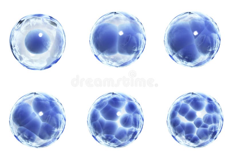 Process division of cell stock illustration. Illustration of dividing ... Biology Diagrams