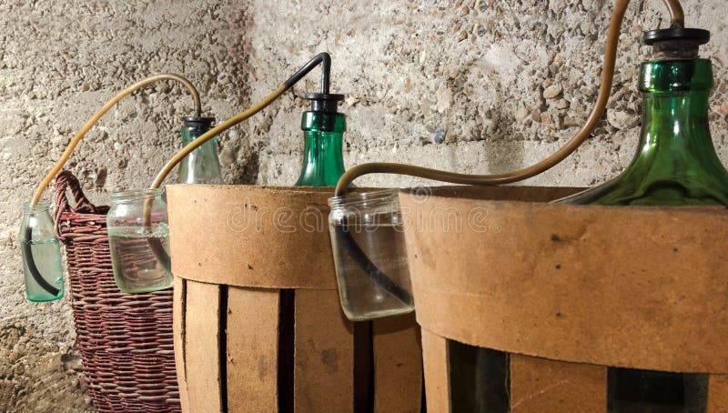 Process of a fermentation of wine in demijohn wine stock photo