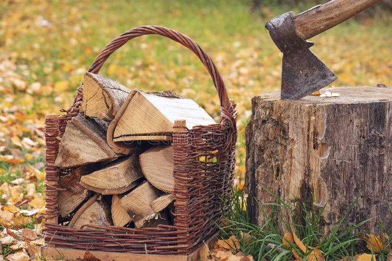 The Process of Harvesting Firewood. a Basket with Firewood and an Ax in