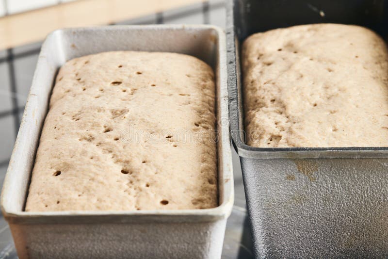 The Process of Making Rye Bread. the Dough on the Rye Bread is Laid Out