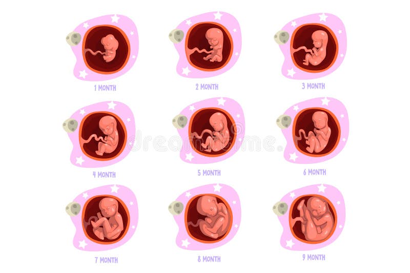 1st month baby development