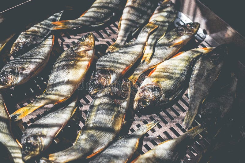 The Process of Preparing Dried Fish with an Automatic Dryer at Home