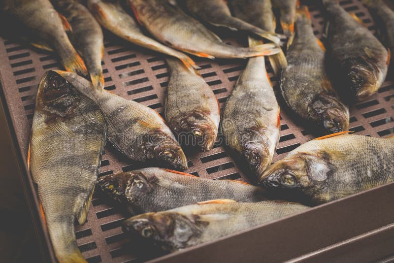The Process of Preparing Dried Fish with an Automatic Dryer at Home