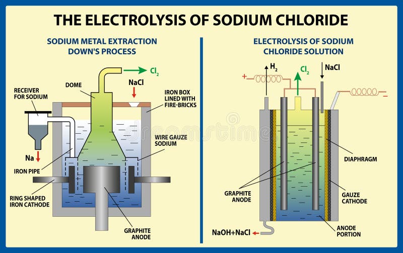 Fully Labeled Diagram Of The Electrolysis Of Water Stock Illustration Illustration Of Diagram Acidified 61461102